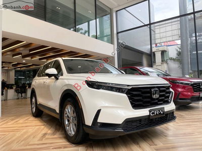 Xe Honda CRV L 2025