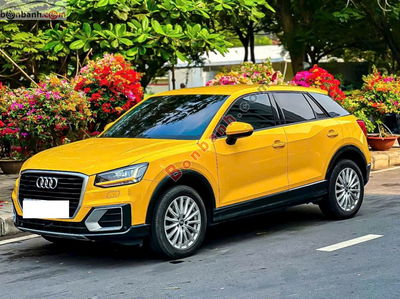 Xe Audi Q2 1.4 TFSI 2018