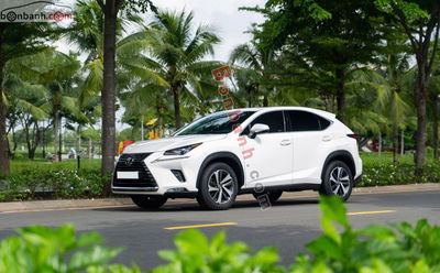 Xe Lexus NX 300 2018