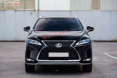 Xe Lexus RX 300 2019