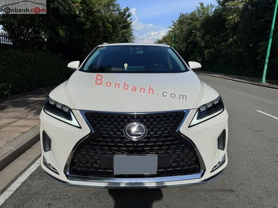 Xe Lexus RX 300 2021