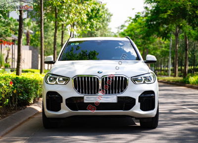 Xe BMW X5 xDrive40i M Sport 2022