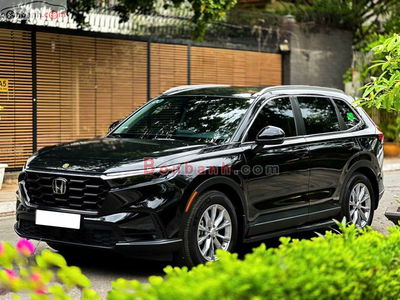 Xe Honda CRV L 2024