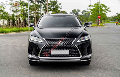 Xe Lexus RX 300 2020