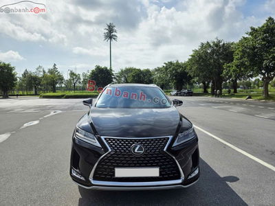 Xe Lexus RX 300 2019