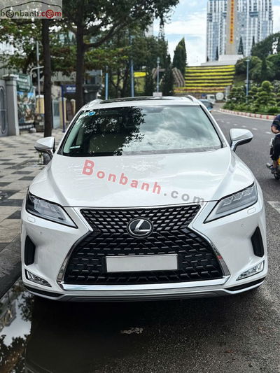 Xe Lexus RX 300 2020