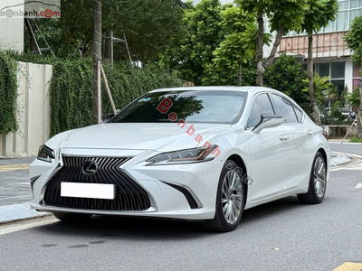 Xe Lexus ES 250 2020