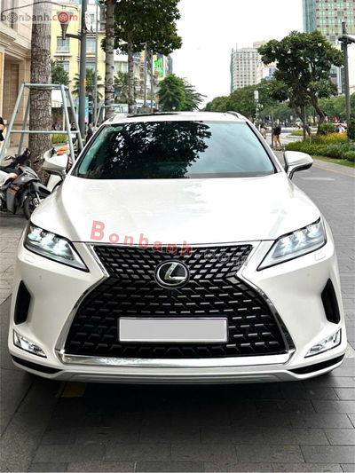 Xe Lexus RX 300 2020