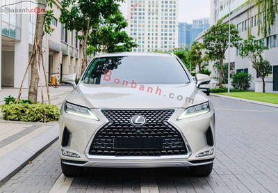 Xe Lexus RX 300 2021
