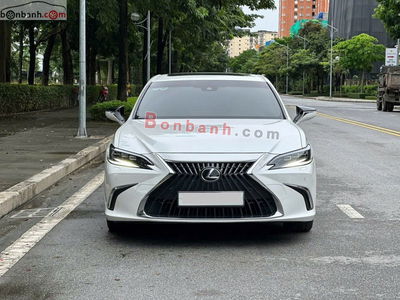 Xe Lexus ES 250 2022