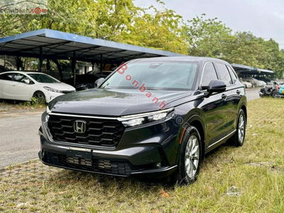 Xe Honda CRV L 2025