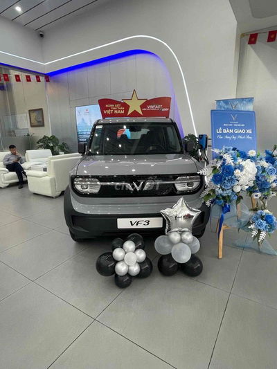 Vinfast VF 3 trả trước 50 triệu