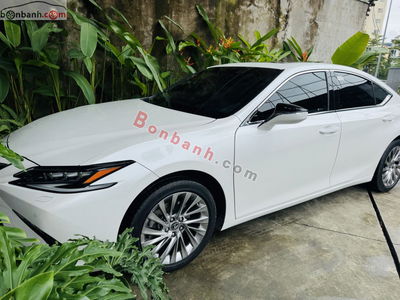 Xe Lexus ES 250 2022