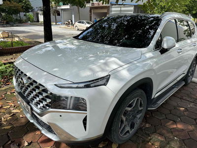 xe mơi mot chủ santafe 2021