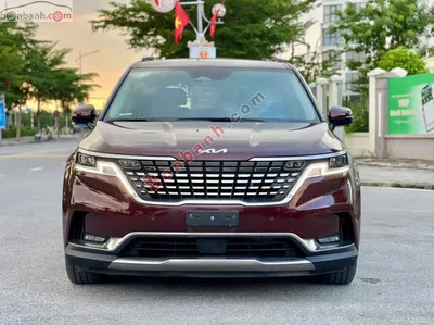 Xe Kia Carnival Signature 2.2D 2023