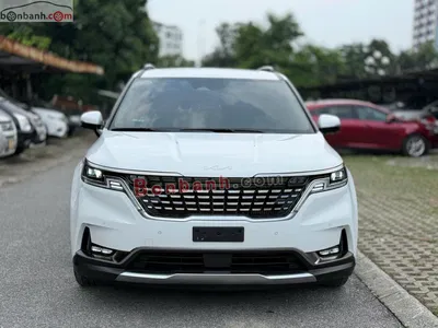 Xe Kia Carnival Signature 2.2D 2024